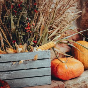 Zahvalna nedelja Zahvalna nedelja