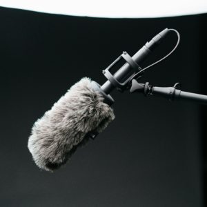 Prenosi na radiu Ognjišče Prenosi na radiu Ognjišče