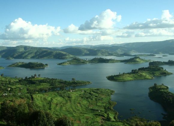 Priložnost za dobrodelnost